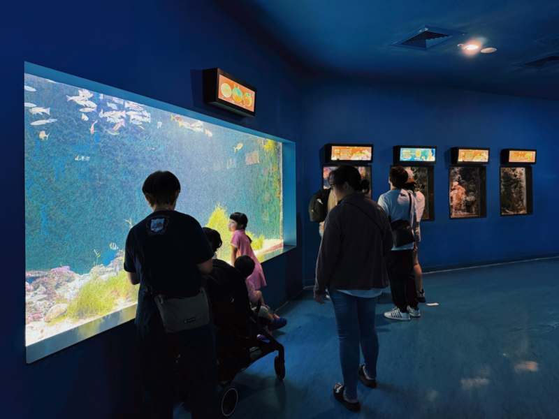 2026桃園水族館Xpark體驗心得:13展區亮點/便宜門票/表演時間/餐廳與停車攻略 18 Xpark水族館暖海生機展區的珊瑚魚缸與觀景動線