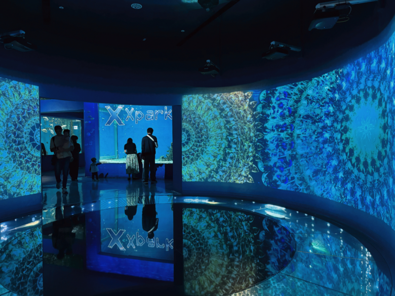 2026桃園水族館Xpark體驗心得:13展區亮點/便宜門票/表演時間/餐廳與停車攻略 9 Xpark入口的藍色沉浸投影空間與品牌水族箱迎賓場景