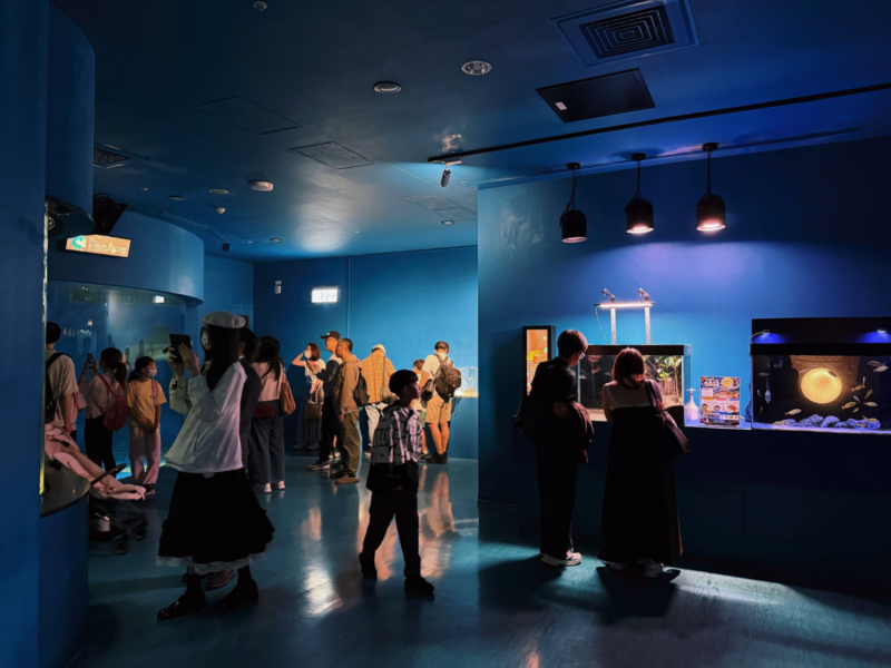 2026桃園水族館Xpark體驗心得:13展區亮點/便宜門票/表演時間/餐廳與停車攻略 16 Xpark水族館暖海生機展區的小型水槽與參觀動線