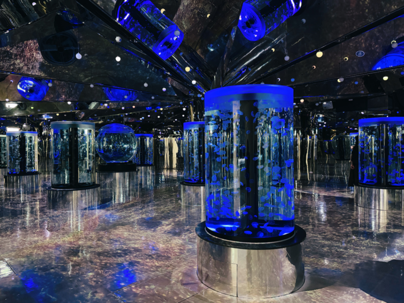 2026桃園水族館Xpark體驗心得:13展區亮點/便宜門票/表演時間/餐廳與停車攻略 33 Xpark水母萬花筒以鏡面與藍光水母缸打造無限延伸視覺