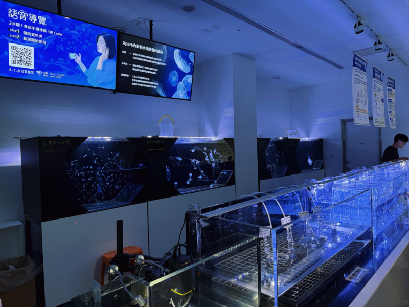 2026桃園水族館Xpark體驗心得:13展區亮點/便宜門票/表演時間/餐廳與停車攻略 48 Xpark活動後場探險的水母培育缸與語音導覽螢幕