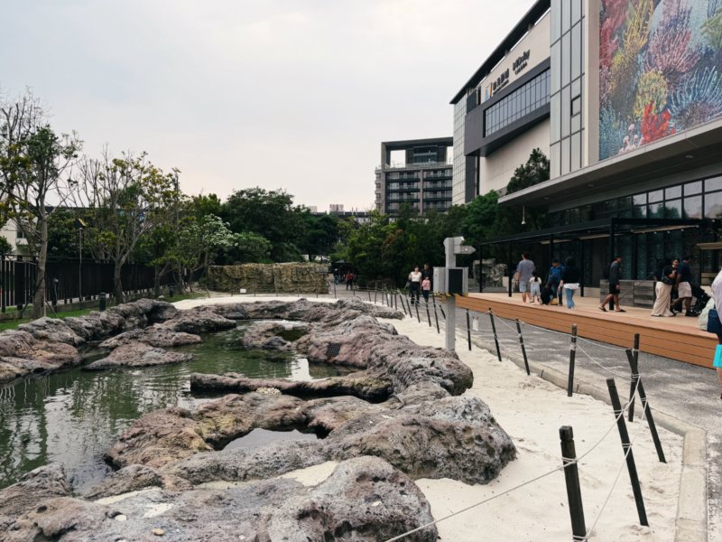 2026桃園水族館Xpark體驗心得:13展區亮點/便宜門票/表演時間/餐廳與停車攻略 49 Xpark潮間戲灘戶外展區的淺水池、岩岸與參觀步道