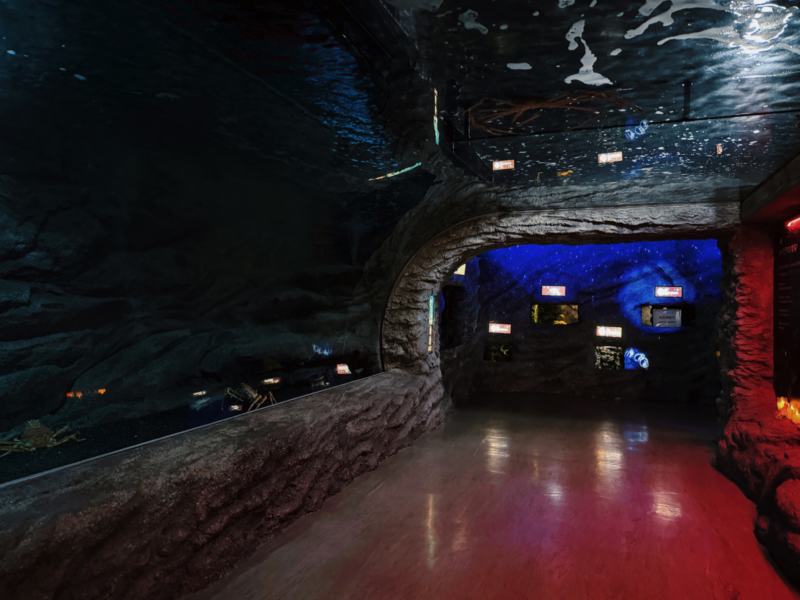 2026桃園水族館Xpark體驗心得:13展區亮點/便宜門票/表演時間/餐廳與停車攻略 68 Xpark水族館深海尋秘展區的幽暗岩洞水槽與照明