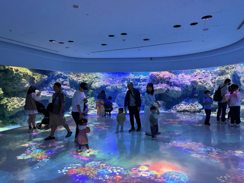 2026桃園水族館Xpark體驗心得:13展區亮點/便宜門票/表演時間/餐廳與停車攻略 13 Xpark水族館珊瑚之森環景水槽與地面珊瑚光影投影