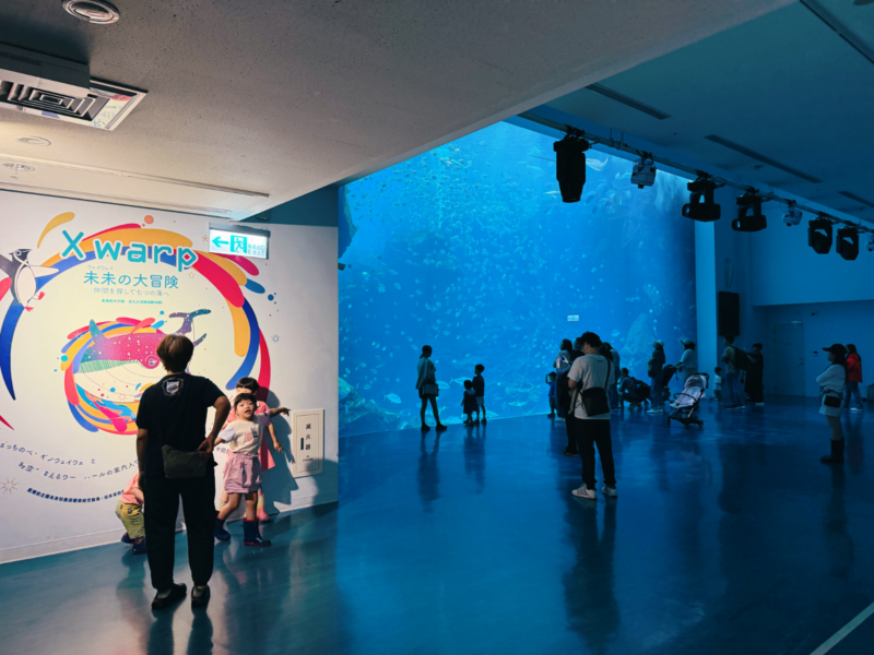 2026桃園水族館Xpark體驗心得:13展區亮點/便宜門票/表演時間/餐廳與停車攻略 66 Xpark介紹必看福爾摩沙大水槽與Xwarp彩繪牆