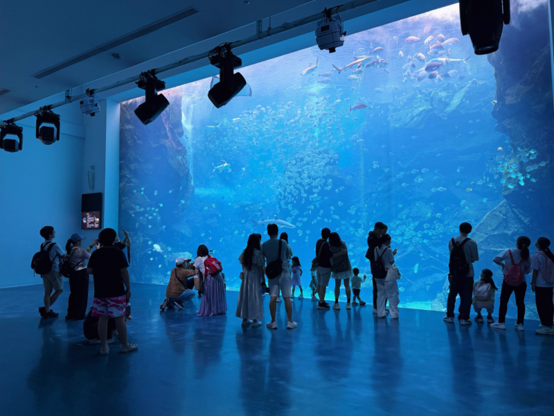 2026桃園水族館Xpark體驗心得:13展區亮點/便宜門票/表演時間/餐廳與停車攻略 10 Xpark水族館福爾摩沙展區巨大觀景窗與魚群景觀
