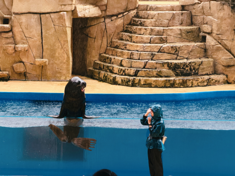 2026桃園水族館Xpark體驗心得:13展區亮點/便宜門票/表演時間/餐廳與停車攻略 37 Xpark表演與眾同樂展區的海獅與訓練員互動