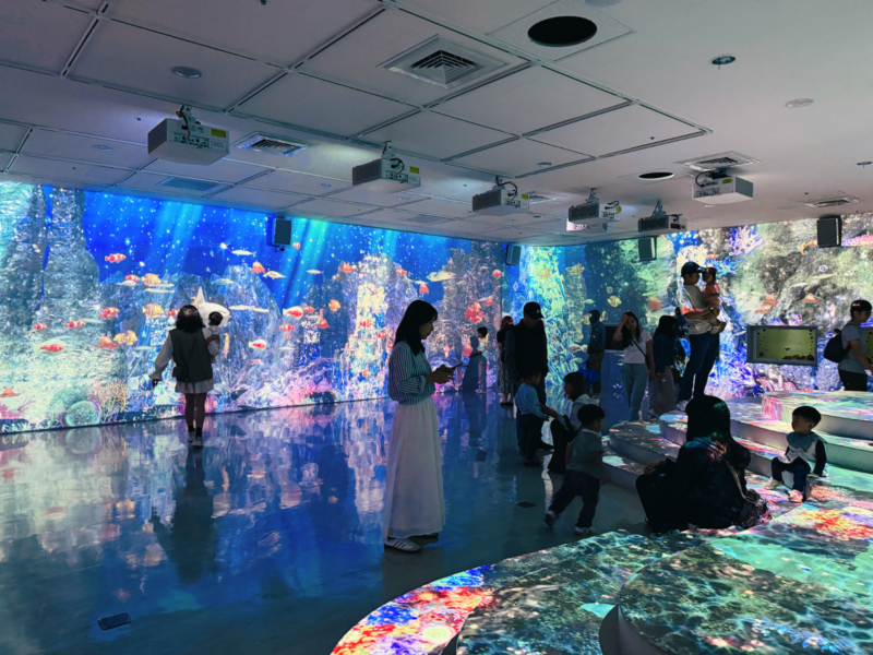 2026桃園水族館Xpark體驗心得:13展區亮點/便宜門票/表演時間/餐廳與停車攻略 28 Xpark活動亮點虛實互動海洋樂園的環景投影空間