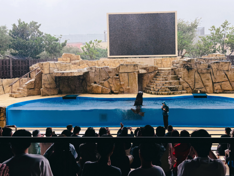 2026桃園水族館Xpark體驗心得:13展區亮點/便宜門票/表演時間/餐廳與停車攻略 47 Xpark表演與眾同樂,戶外水池海獅和工作人員與觀眾互動