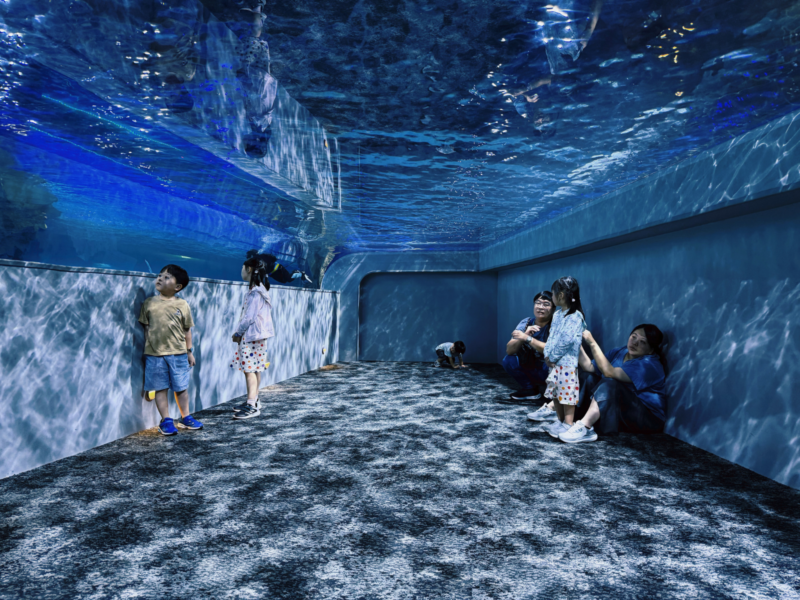 2026台中海洋館必看9大展區攻略!便宜門票/預約方式/海線一日遊路線推薦-TaichungAquarium 34 台中海洋館企鵝區透明觀景隧道,遊客在水面下方觀察企鵝活動
