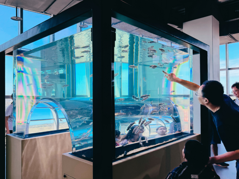 2026台中海洋館必看9大展區攻略!便宜門票/預約方式/海線一日遊路線推薦-TaichungAquarium 14 台中海洋館台中河川區透明展示缸,缸內設有可進入觀察魚群的拱形通道