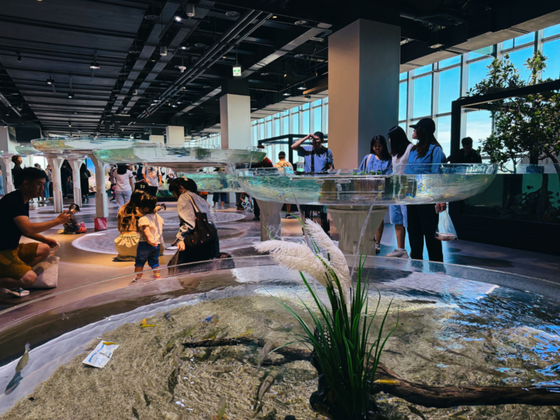 2026台中海洋館必看9大展區攻略!便宜門票/預約方式/海線一日遊路線推薦-TaichungAquarium 11 台中海洋館台中河川區蓮花造型展缸,高低錯落的透明水缸呈現魚群與水草景觀