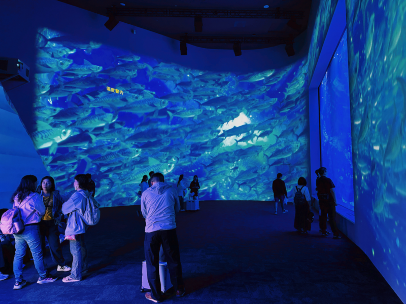 2026台中海洋館必看9大展區攻略!便宜門票/預約方式/海線一日遊路線推薦-TaichungAquarium 52 台中海洋館黑潮之海大型展示缸,遊客站在藍色觀景窗前欣賞成群魚類游動