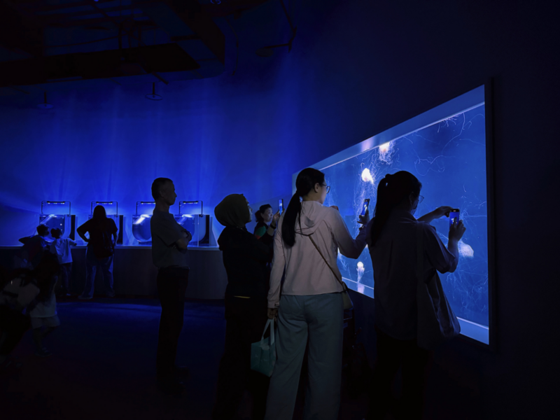 2026台中海洋館必看9大展區攻略!便宜門票/預約方式/海線一日遊路線推薦-TaichungAquarium 28 台中海洋館水母區的長方形觀賞窗,遊客站在藍光展缸前欣賞水母