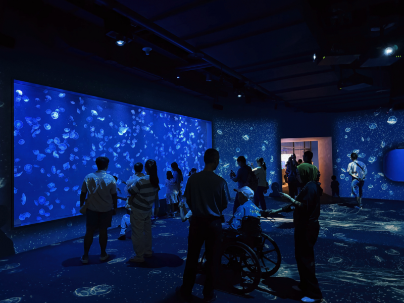 2026台中海洋館必看9大展區攻略!便宜門票/預約方式/海線一日遊路線推薦-TaichungAquarium 23 台中海洋館水母區大型展示缸,成群水母與地面光影環繞參觀遊客