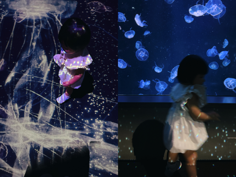 2026台中海洋館必看9大展區攻略!便宜門票/預約方式/海線一日遊路線推薦-TaichungAquarium 25 台中海洋館水母光影投影,孩子身上與地面映出水母和點點光斑