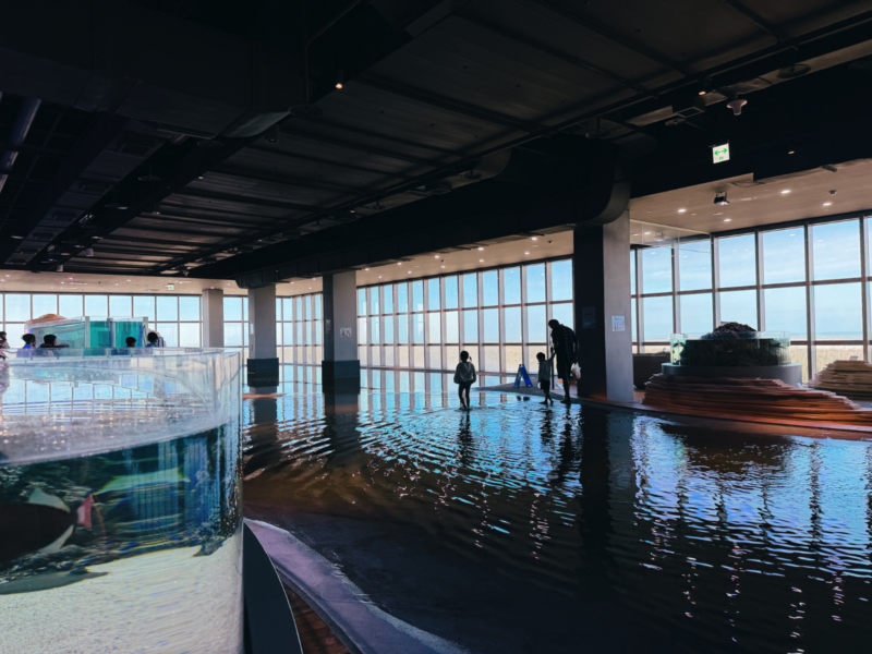 2026台中海洋館必看9大展區攻略!便宜門票/預約方式/海線一日遊路線推薦-TaichungAquarium 17 台中海洋館濕地區潮汐池全景,寬廣水面旁設有透明觀察缸與岩石造景