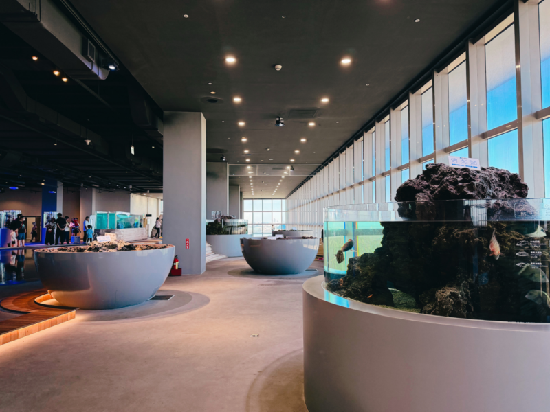 2026台中海洋館必看9大展區攻略!便宜門票/預約方式/海線一日遊路線推薦-TaichungAquarium 18 台中海洋館濕地展區步道,沿落地窗排列可從上方觀察的低矮展缸