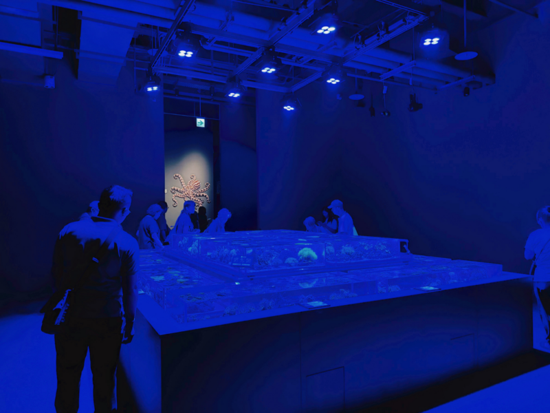 2026台中海洋館必看9大展區攻略!便宜門票/預約方式/海線一日遊路線推薦-TaichungAquarium 37 台中海洋館璀璨珊瑚區階梯式展缸,遊客沿缸邊從上方觀察珊瑚
