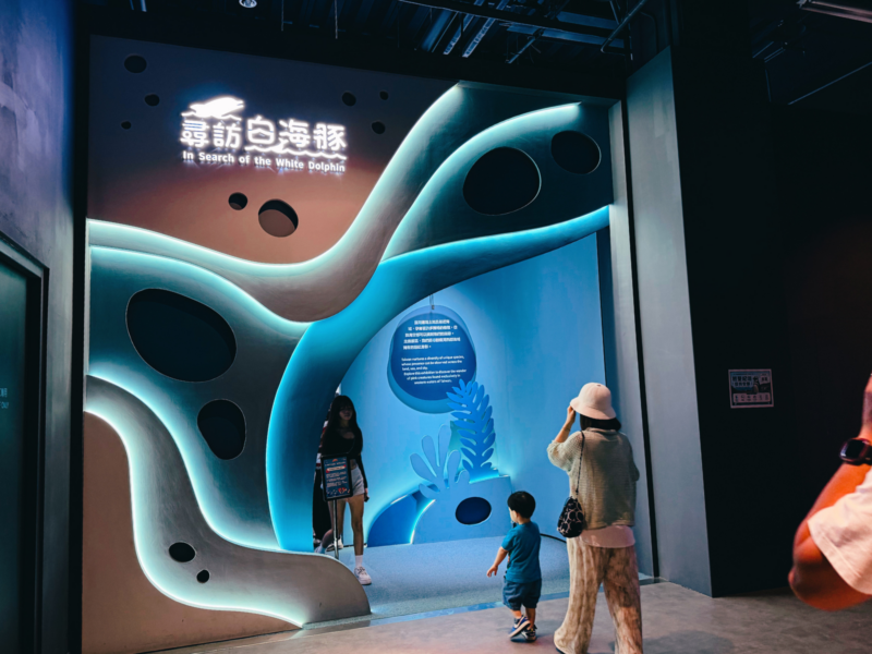 2026台中海洋館必看9大展區攻略!便宜門票/預約方式/海線一日遊路線推薦-TaichungAquarium 29 台中海洋館尋訪白海豚展區入口,波浪造型牆面搭配白海豚圖像與藍色燈光