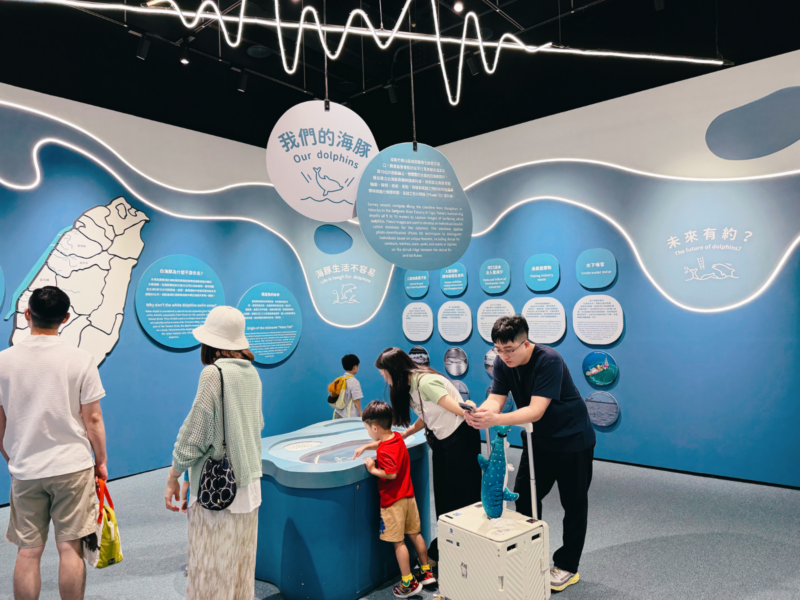 2026台中海洋館必看9大展區攻略!便宜門票/預約方式/海線一日遊路線推薦-TaichungAquarium 30 台中海洋館白海豚保育展示區,遊客在台灣地圖與海豚生態解說牆前參觀