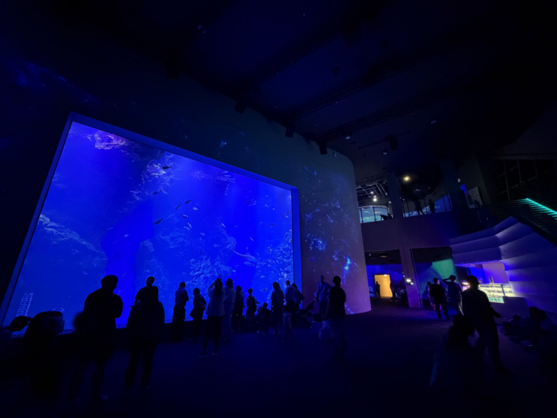 2026台中海洋館必看9大展區攻略!便宜門票/預約方式/海線一日遊路線推薦-TaichungAquarium 49 台中海洋館黑潮之海區全景,遊客聚集在藍色大型觀景窗前,旁邊設有階梯座位