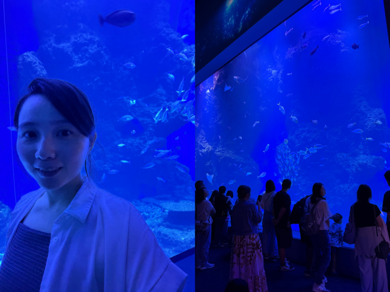 2026台中海洋館必看9大展區攻略!便宜門票/預約方式/海線一日遊路線推薦-TaichungAquarium 51 台中海洋館黑潮之海照片拼圖,呈現遊客在藍色展缸前自拍及欣賞魚群的畫面
