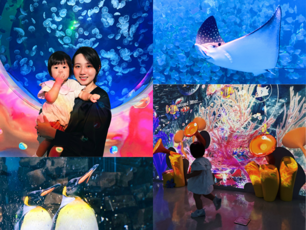 Xpark水族館13大展區亮點，包含水母、魟魚、企鵝與互動投影